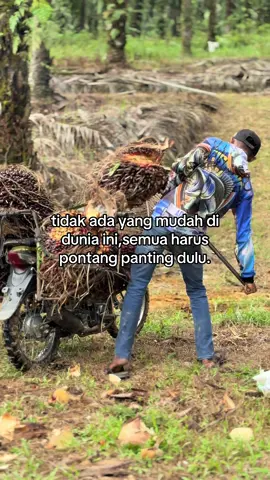 😇💸 #sawitpelosok14 #sawit <‘#fyp #xybca #sawitontiktok 