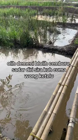 #katakataindramayu #cilamayasadboys🥀 #tarling_indramayu_cirebon #fypシ゚viral 