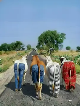 😄 best p10 #fun #entertainment 