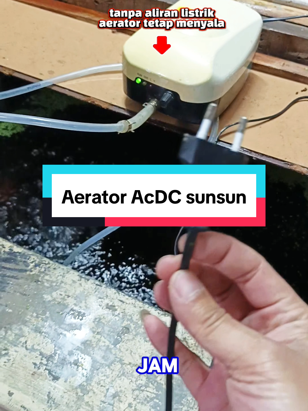 Aerator AC/DC Sunsun YT-818, aerator yang cocok untuk daerahmu yang sering mati listrik,   tahan menyala hingga 12 jam tanpa aliran listrik, ikan kamu akan tetap sehat dan aktif.  .  .  #arwana #koi #aeratoracdc  #aerator #aeratorsunsunyt818 