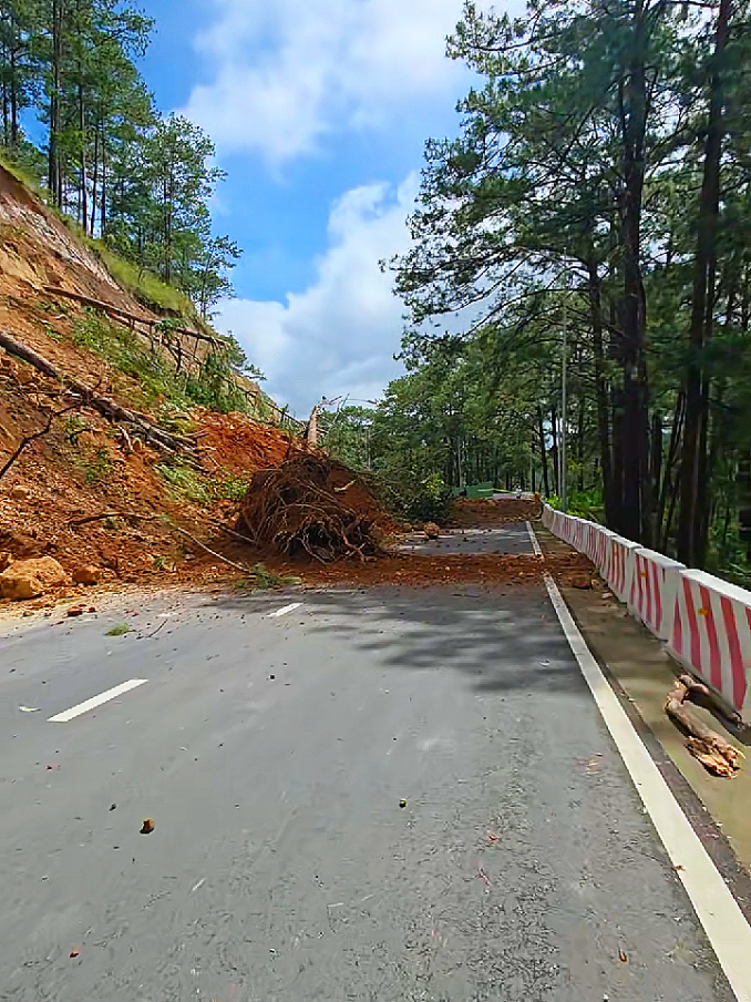 NGAY LÚC NÀY 04/12/2025 SẠT LỞ ĐÈO PRENN ĐÀ LẠT #tintuc #muabao ##dalat #nhacuanoithatthietbigiadung #maihoavuongvung558 