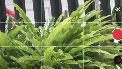 enak banget ini camon #TECNOFansIndonesia #TECNOIndonesia #camon40series #CAMON40 @TECNO Indonesia Store @Tecno.jabar.jateng 