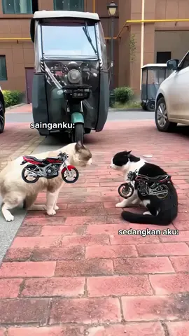 😭🙏🏼 #foryou #fyp #fyeシ #hiugank #ninjass 