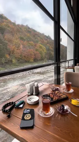 🦅#azerbaijan🇦🇿 #talis #lankon #rivahill 