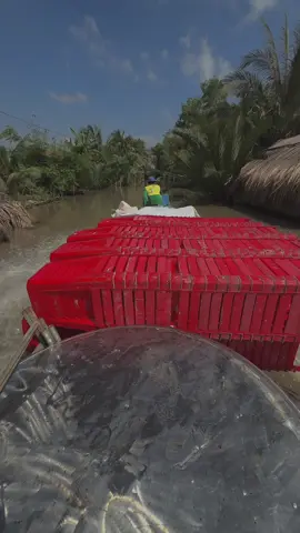 Không có thành công nào đến từ sự lười biếng.👍🏼👍🏼#xuhuongtiktok #xuhuong #damcuoi #hongdan #kubota5 