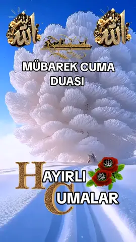 #hayırlıcumalar🌹🌺🌺🌷💖 #cumanizmubarekolsun #dinivideolar #keşfetbeniöneçıkar #keşfetteyizzzzzzz 