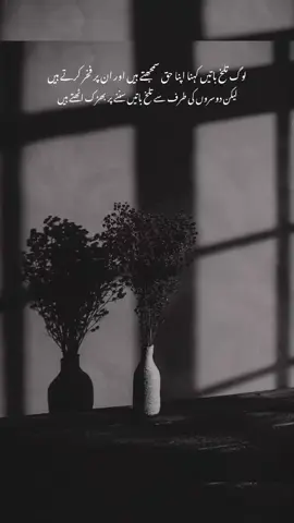 ##creatorsearchinsight #fypシ #fyppppppppppppppp #tiktokviral #trendingvibes