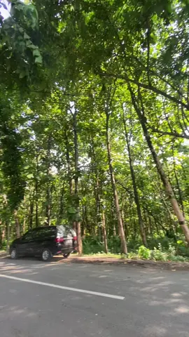 #promomakanharian #berkahtambang #dutromaniaindonesia #trukmaniaindonesia 