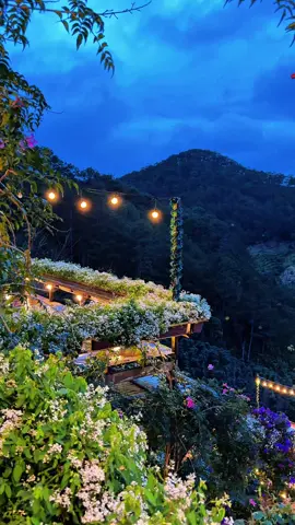 Giữa rừng xanh, mình tìm thấy những khoảng lặng mà phố thị chẳng bao giờ có. #dalat #reviewdalat #tiemcaphenhabenrung #nhabenrungcoffee #binhyen  