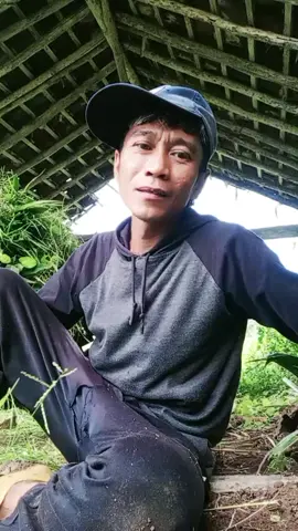 storine semangat neng mburi bak e wonge semaput😝