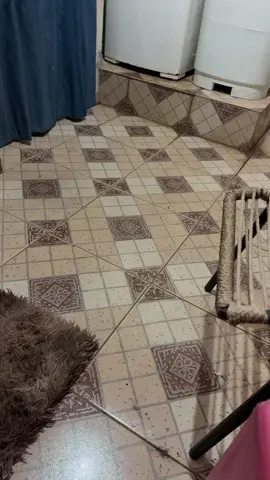 Esses bichinhos 😠