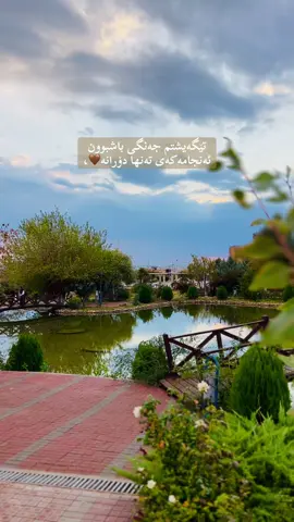 #zankoiikoya #foryoupage 