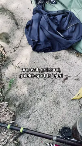 wong ringkeh minggir sek😮‍💨@@ariepmstfa #jogjastyle #microfishing #boyolali24jam 