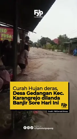 Hujan lebat yang turun pada Kamis (04/12) membuat kawasan di Desa Gedangan, Kecamatan Karangrejo, terendam banjir. Air meluap hingga menutup  jalanan, sehingga mobilitas warga ikut terhambat. Dalam rekaman warga, ruas jalan terlihat berubah seperti arus sungai karena debit air yang tinggi dan saluran yang tak mampu menampung. Credit : FB/Gerrald Shoop #FYP #Tulungagung #FYPTulungagung