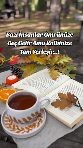 Birşey var sende...!!!! Nefes kadar yakın bir ömür kadar uzak _____________kaçmak istedikçe yaklaştığım Unutmak istedikçe yüreğime yerleştirdiğim ___________________Sevgi gibi Aşk gibi Hasret gibi....!💞