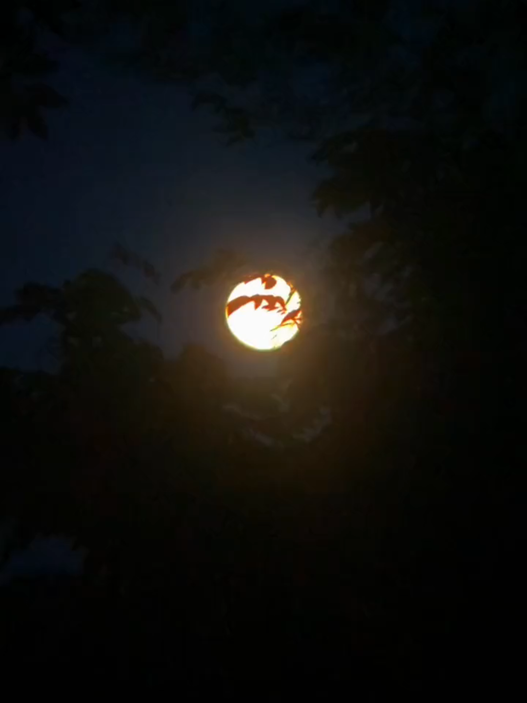 🔭🌕Super cold moon #Supermoon #fullmoon #astrophotography #moon #fyp #original