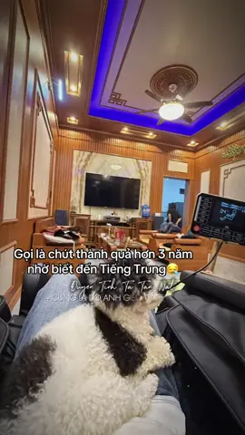 Thành quả của năm nhất và năm 2 Giúp đc bme chút chút😎 #tiengtrung #hoctiengtrung #tuhoctiengtrungonline #dongluchoctap #tmu 