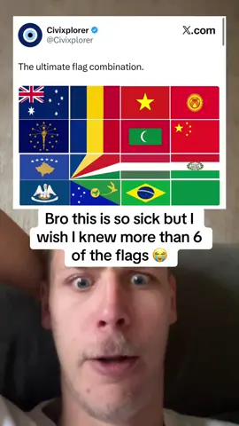 Goated flag layout brother #fyp #relatable #flags #cool #pattern 