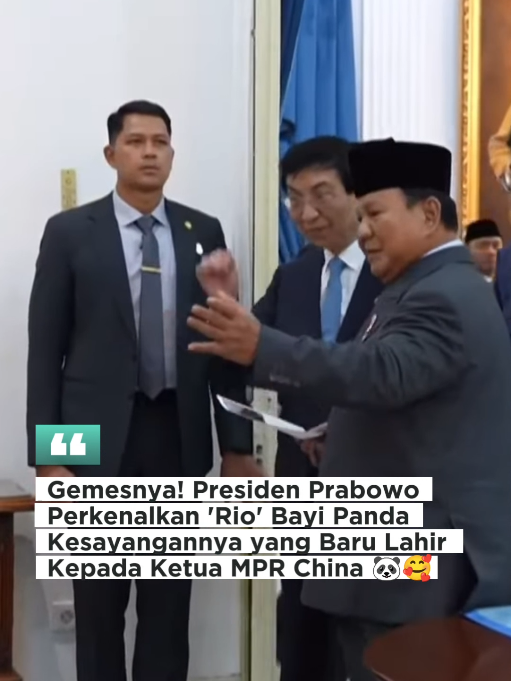Kenalin nih Satrio Wiratama, bayi Panda kesayangan pak Prabowo sekaligus saingannya Bobby Kertanegara 😅🐼🐱🙏 #prabowosubianto #presidenprabowo #ketuamprchina  #presidenkhatulistiwa #viralditiktok 