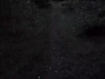 هیچی دکتری پیدا نکرد دردم