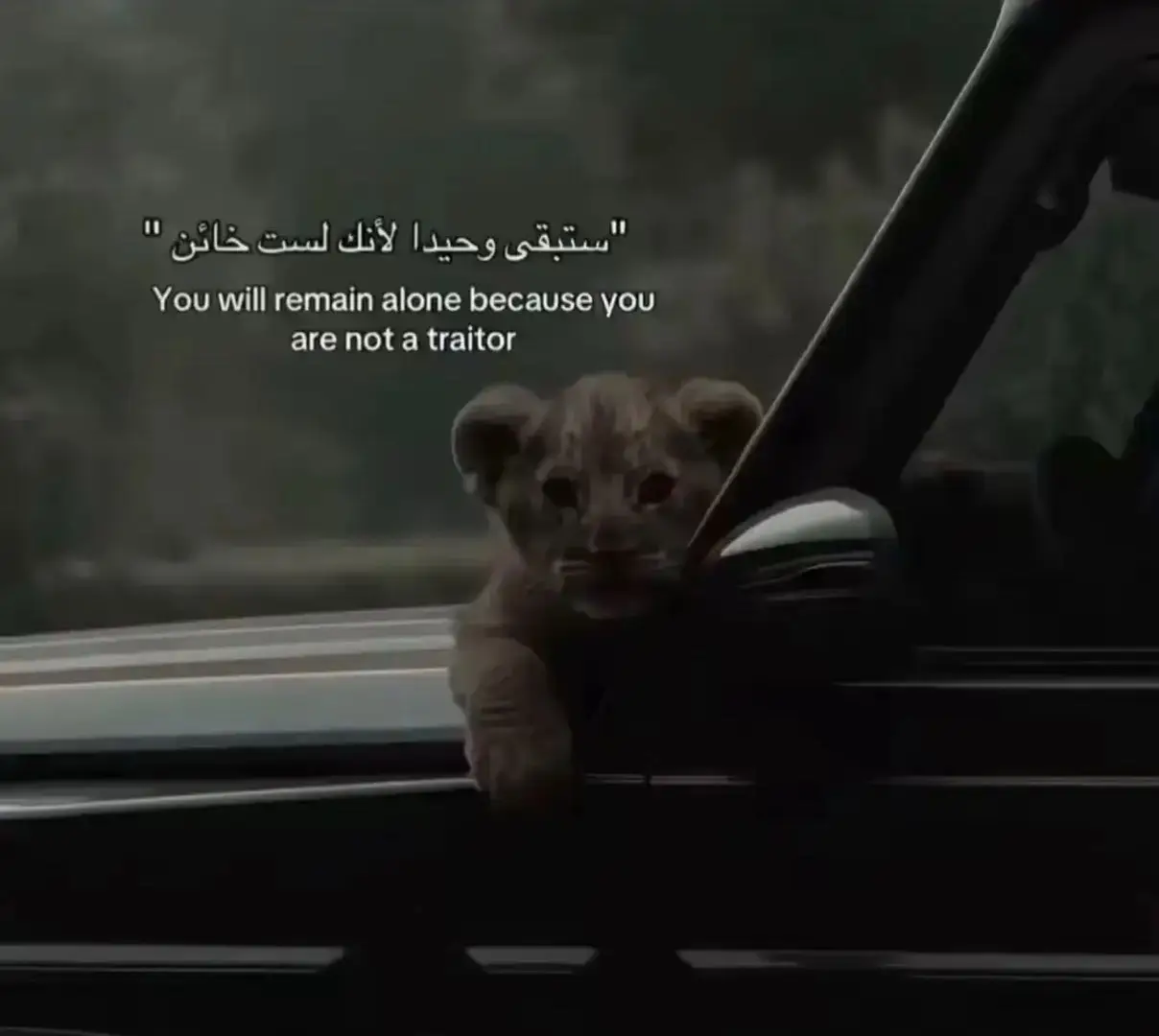 اني بطل #ياتيتو #تيتو_ببجي #حساسيه_هيدشوت #الشعب_الصيني_ماله_حل😂😂 