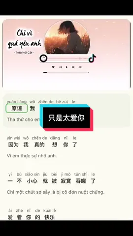 Chỉ vì quá yêu anh 【只是太爱你】#tiengtrung #hochattiengtrung #baihattiengtrung #zootopia2 