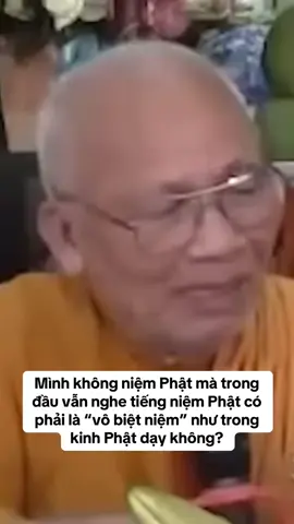 Mình không niệm Phật mà trong đầu vẫn nghe tiếng niệm Phật có phải là “vô biệt niệm” như trong kinh Phật dạy không? #thiensuanlachanh #loiphatday #tinhxalienhoa 