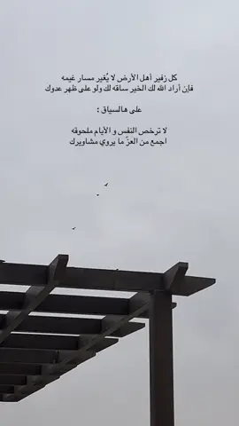 #خواطر #مساء_الخير🌹 