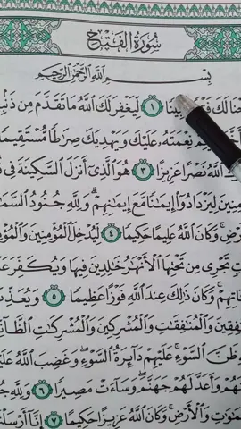 Surah Al-Fath 📖  #quran #قران #fyp #fypシ #foryoupage 