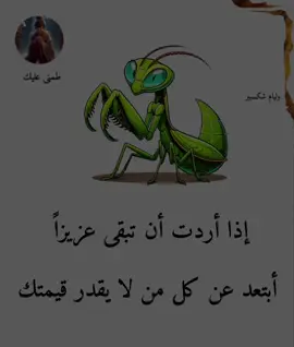 •غريب الدار•😴