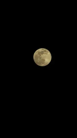 04.12.2025  Super full moon 🌕 มองด้วยตาเปล่าคือสวยมากกก  #ดวงจันทร์ #ดวงจันทร์เต็มดวงใกล้โลก  #ส่งท้ายปี #superfullmoon2025 