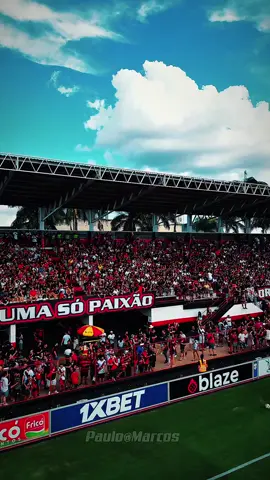 🔥🐉 QUE 2026 SEJA UM ANO GIGANTE PRA NOSSA TORCIDA! 🐉🔥 💥❤️🖤 Que 2026 venha com a força da nossa NAÇÃO RUBRO-NEGRA! 🙌🐉 A torcida que empurra, vibra, canta e mantém o Dragão sempre vivo! ⚽🔥 Vamos voltar ainda mais fortes, mais unidos e com a chama rubro-negra acesa no peito! 💪🐉 Quando o atleticano acredita, nada segura! 🌋❤️🖤 2026 será mais um capítulo escrito com garra, fé e paixão rubro-negra! 🌟🐉 O ANO DO DRAGÃO TÁ CHEGANDO! 🚀🔥 Juntos, torcida e clube, somos imparáveis! 📝✨ Texto: Paulo Marcos DRAGOLINO 🎥🔥 Edição de Vídeo: Paulo Marcos DRAGOLINO 🎨🐉 Arte: Paulo Marcos DRAGOLINO #DragãoDoBrasil #ACG #VamosDragão #RubroNegro #ACG2026 