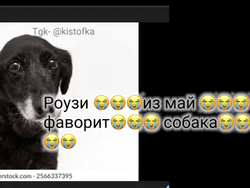 😭😭😭😭  Изменено: спасибо за такое большое кол во лайков.Хочу сказать, что у видео не было никакой цели.Я люблю Алекса Г, я люблю его песни, уж тем более я не хочу кого то оскорбить.Давайте жить дружно?#alexg #алексг #текстпесни #оченьгрустно #грусть 