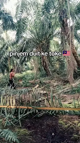 angkat amoy bnyk laa 🤣  #kulisawitmalaysia🌴🇲🇾🇮🇩 #kulisawit #fyp 