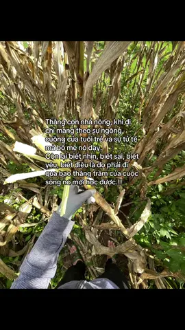 Con nhà nông #chill #flexchill #chillchill #viraltiktok 