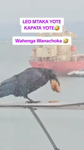 #tanzaniantiktok🇹🇿 #kenyantiktok🇰🇪