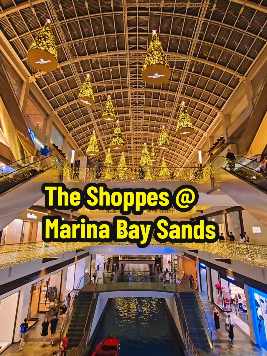 1 Minute Video of The Shoppes at Marina Bay Sands Singapore #christmas #marinabaysands #sg #christmasdecor 