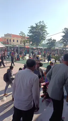 chuyện bên thầy  ngày thầy trở lại  #pghh #chuyenbenthay #nammoadidaphat #xuhuongtiktok #🙏🙏🙏🙏 