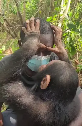 Coi chừng 2 con 👀 của ngừ ta nha 😂#petcute #khoanhkhacdangyeu #khỉ 