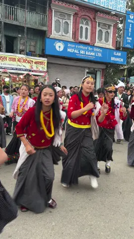 उधौली पर्व २०८२  इलाम नगरपालिकामा आयोजना गिएको उधौली पर्व २०८२ को साकेला सिली नाच प्रस्तुत गर्दै इलामेली!!!