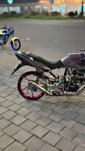 🫴🫴🫴  #tigerrayleigh #tigergank #tigerpece #tigerdwonsize #tigerjatim 