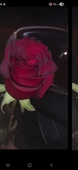 #ZİRVEDEYİZ #⚘️❤️G  .E