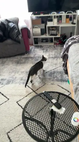 Rel#🇺🇦👌🇺🇸 #Хорошевские #