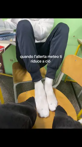 #scuola #allerta #perte #viralvideos 