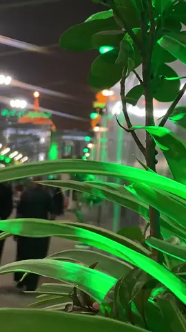 #ليلة_الجمعة #زياره_الامام_الحسين_عليه_السلام #السلام_عليك_يااباعبد_الله_الحسين_ 