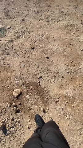 ربي يخلف إنشاء الله #fyp #اكسبلور_تيك_توك #مقرة_بلعايبة_المسيلة_بريكة_الجزار🥰 #مقرة_بلعايبة_المسيلة_بريكة_الجزار #440dxi 