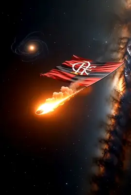 FLAMENGO CAMPEÃO 2025 #brasileirao #libertadores #carioca #fmengo #flamengosempre 