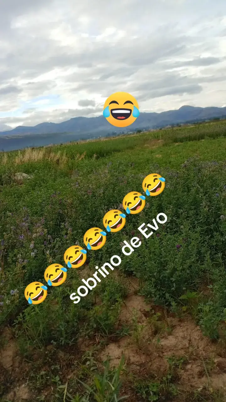 #evomoralesayma💙✊ sobrino de Evo 😂😂😂😂😂😂😂