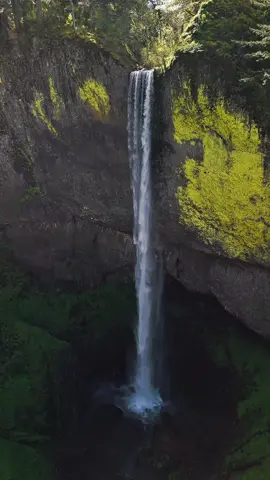 Latourell Falls, Columbia River Gorge, Oregon #pacificnorthwest #Hiking #waterfalls #oregonhikes #CapCut  