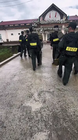 #xuhuongtiktok #nvca 